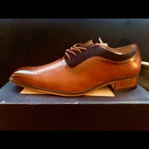 Gorgeous Tan and Navy Shoe